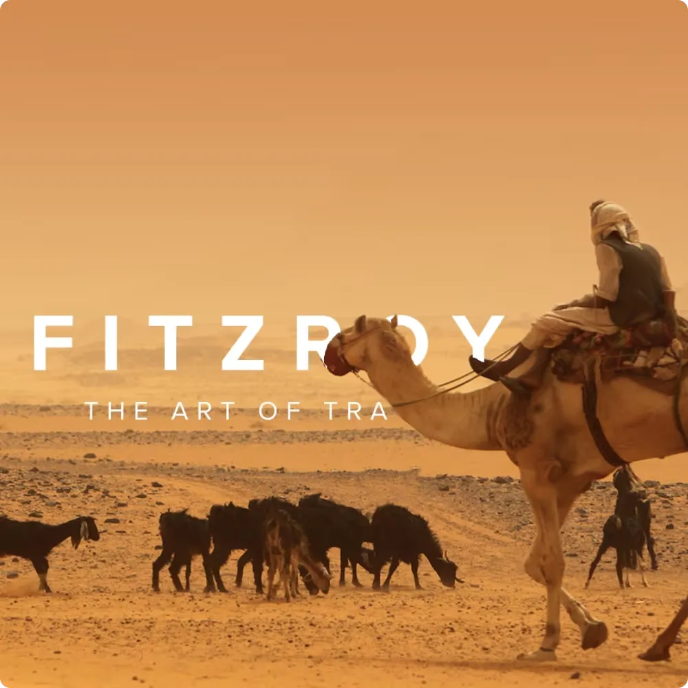 website design for fitzroy travel