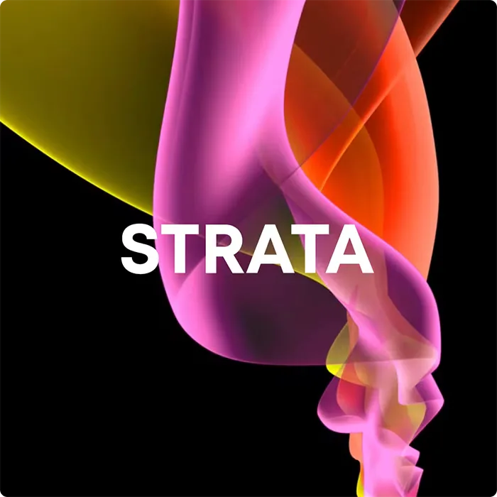 Web design for brand experience agency